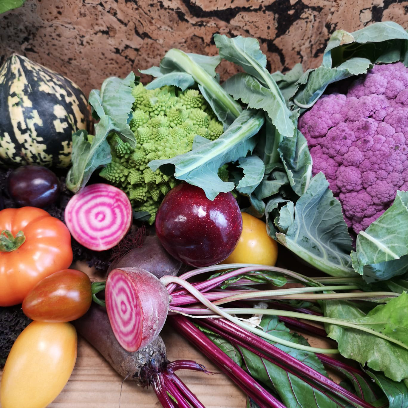 Fife Council agrees steps to end food poverty and tackle climate